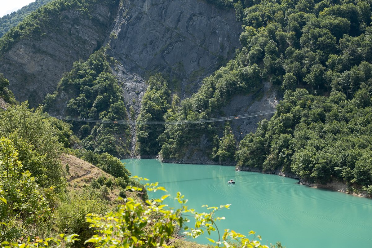 Chartreuse