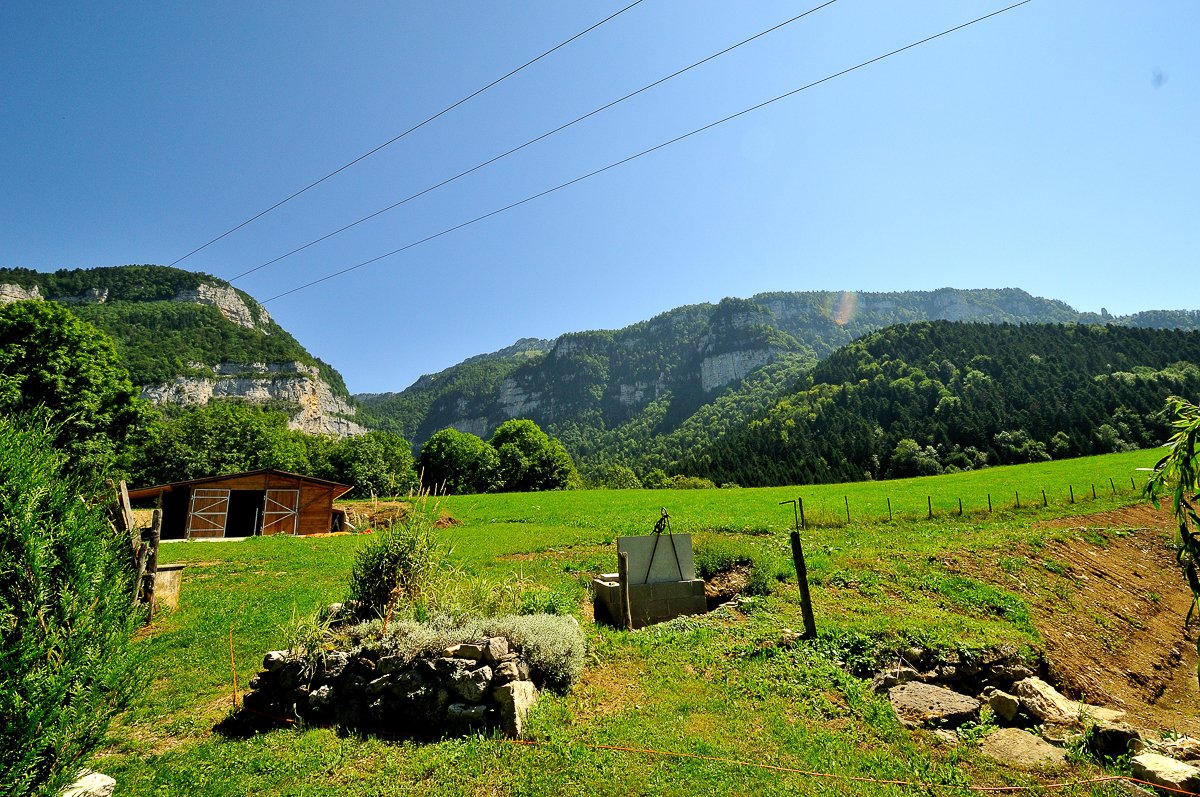 Chartreuse