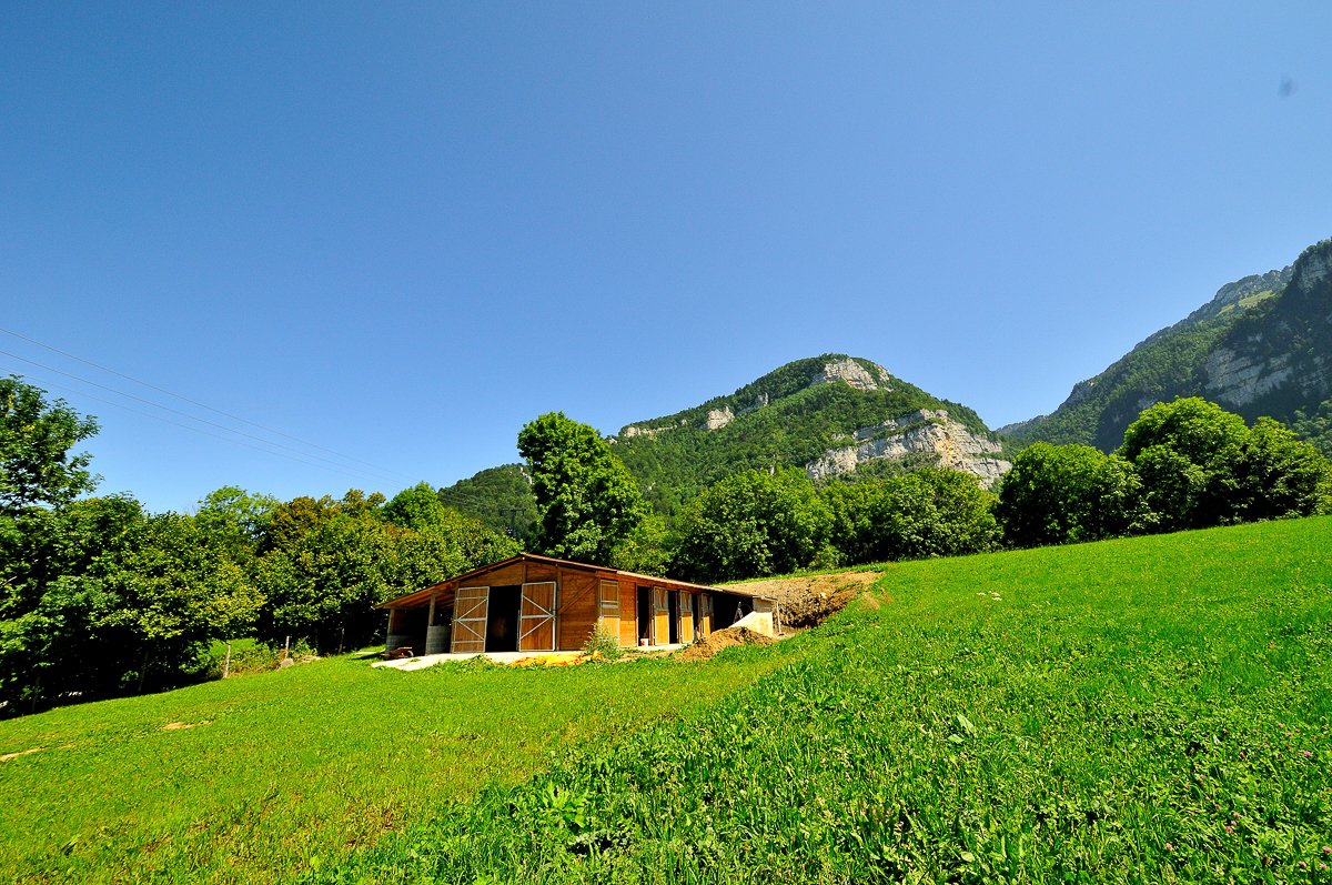 Chartreuse
