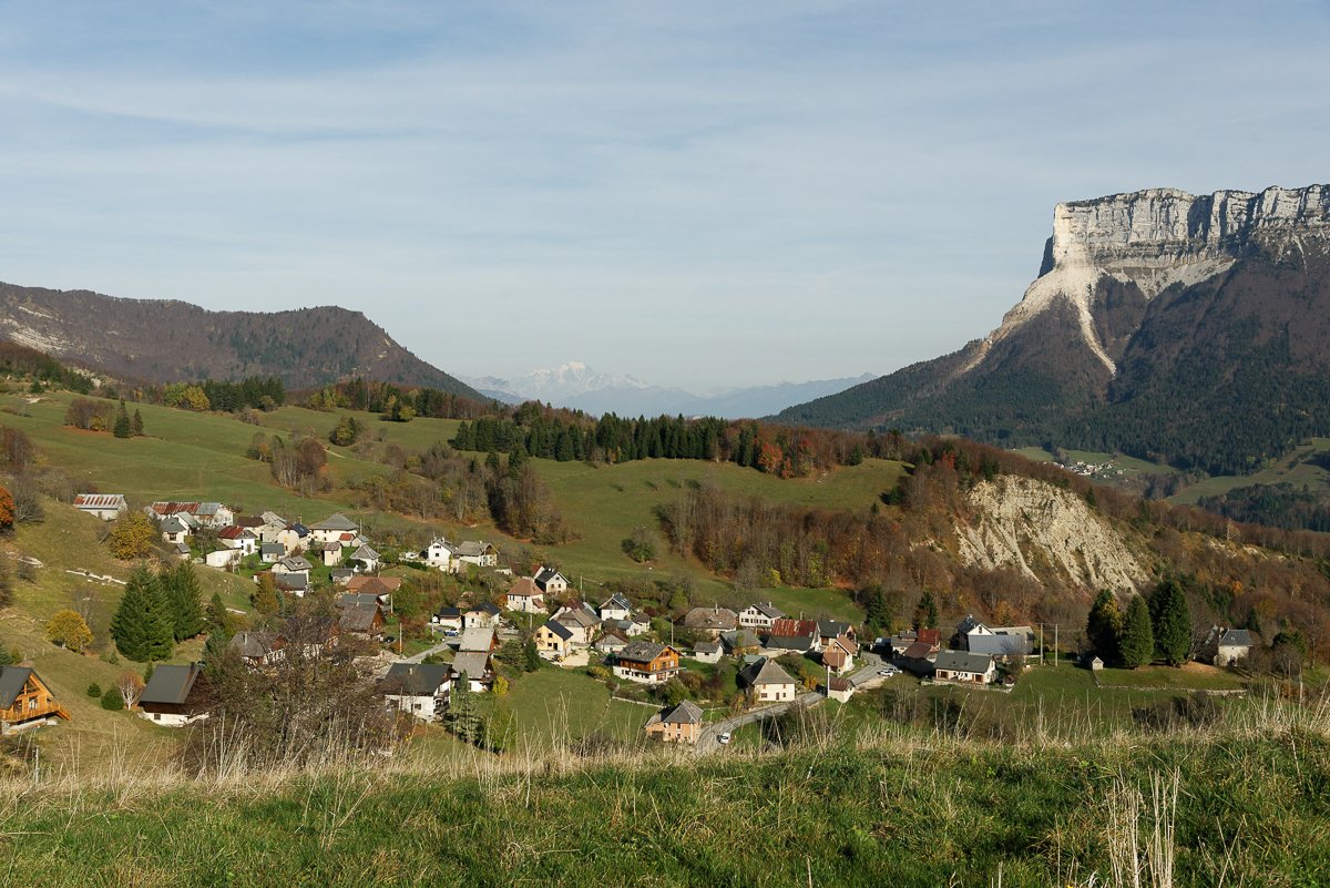Chartreuse