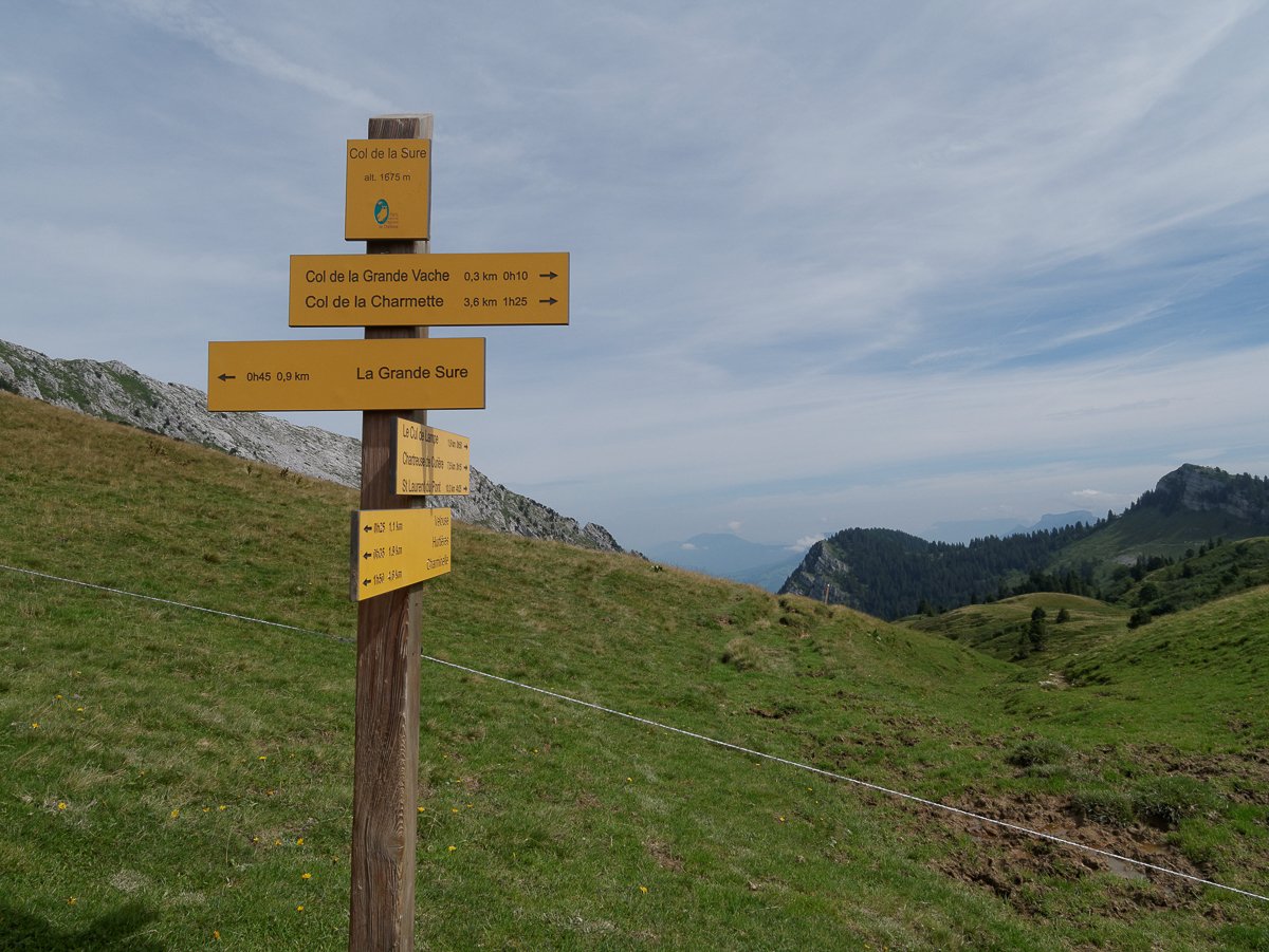 Chartreuse