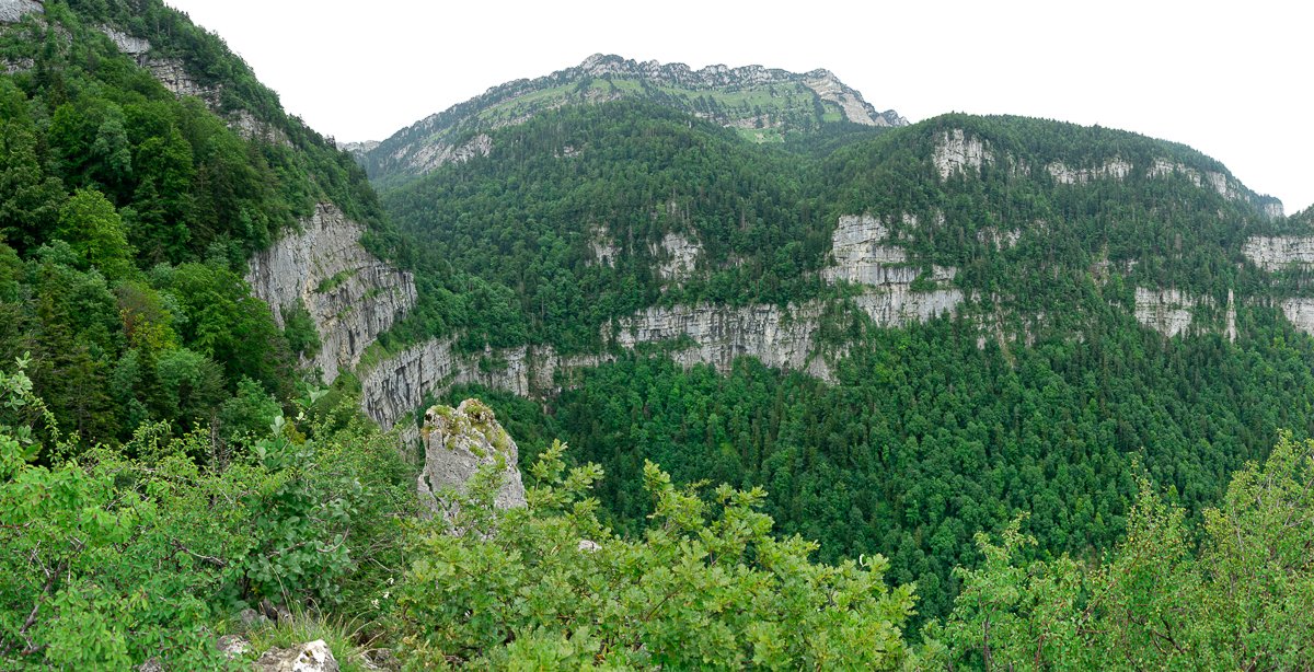 Chartreuse