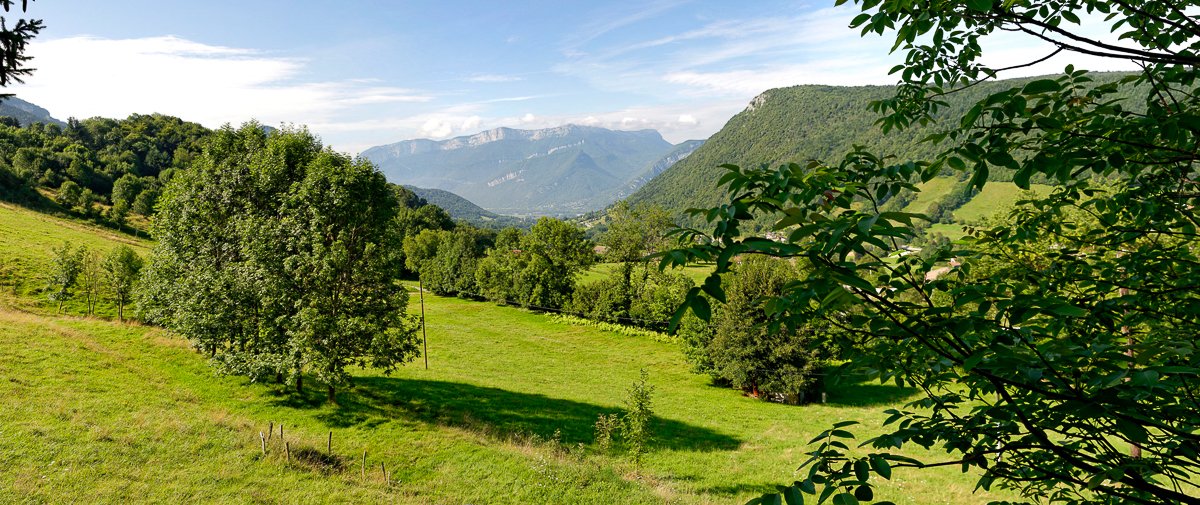Chartreuse