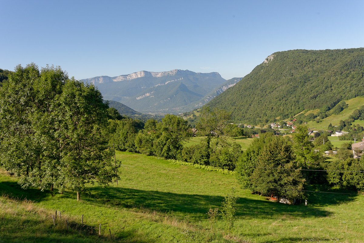 Chartreuse