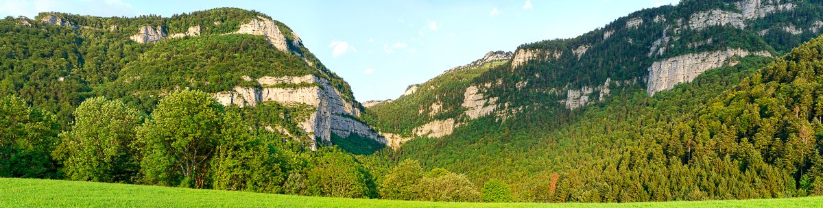 Chartreuse