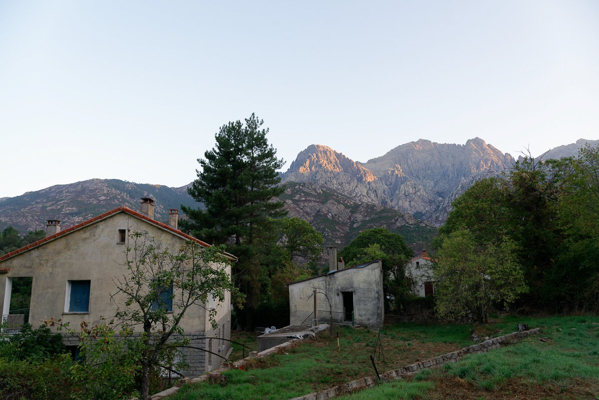 Corse