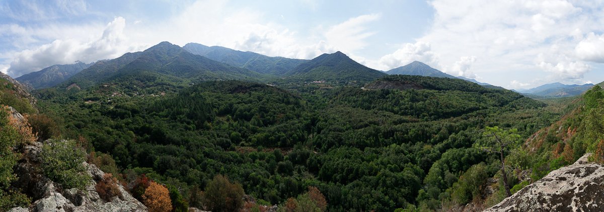 Corse