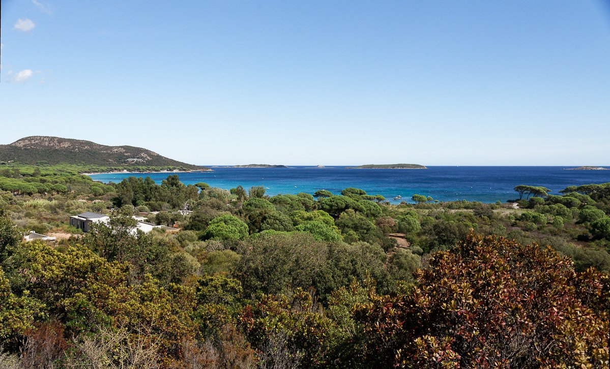 Corse
