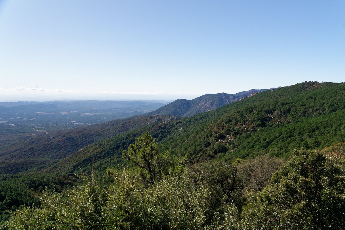 Corse