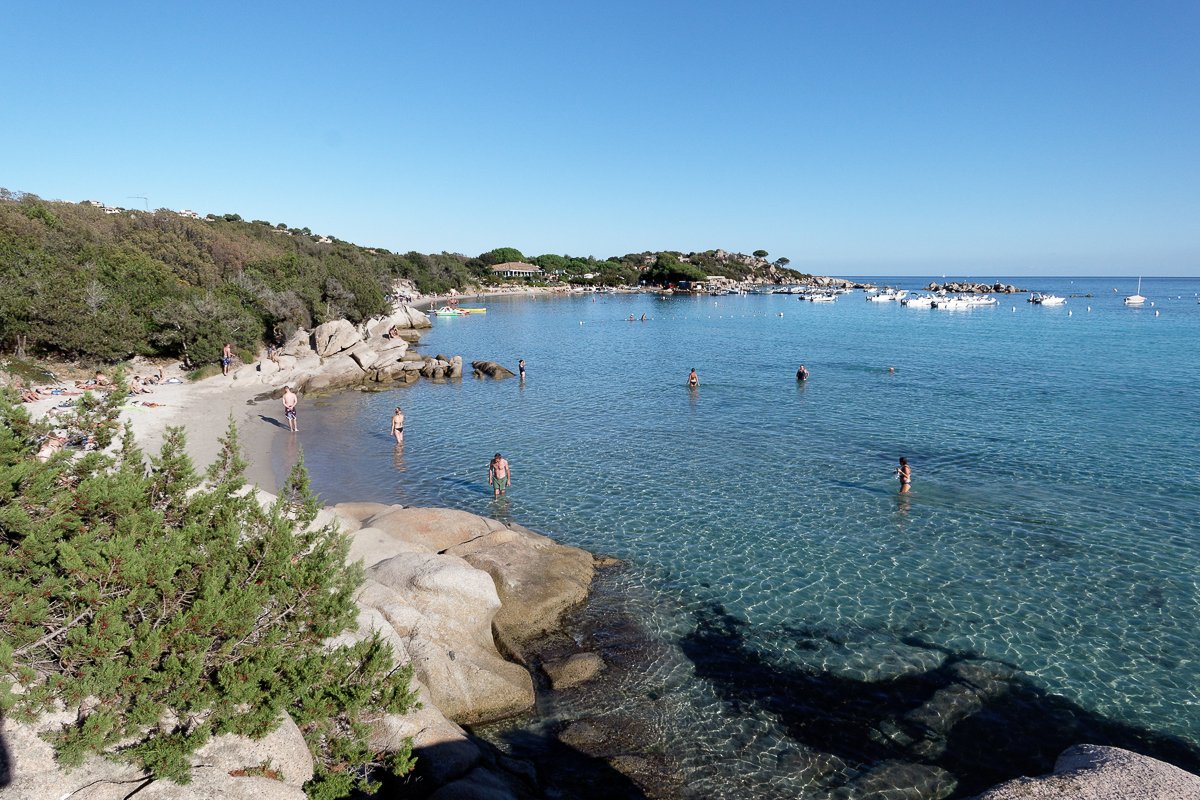 Corse
