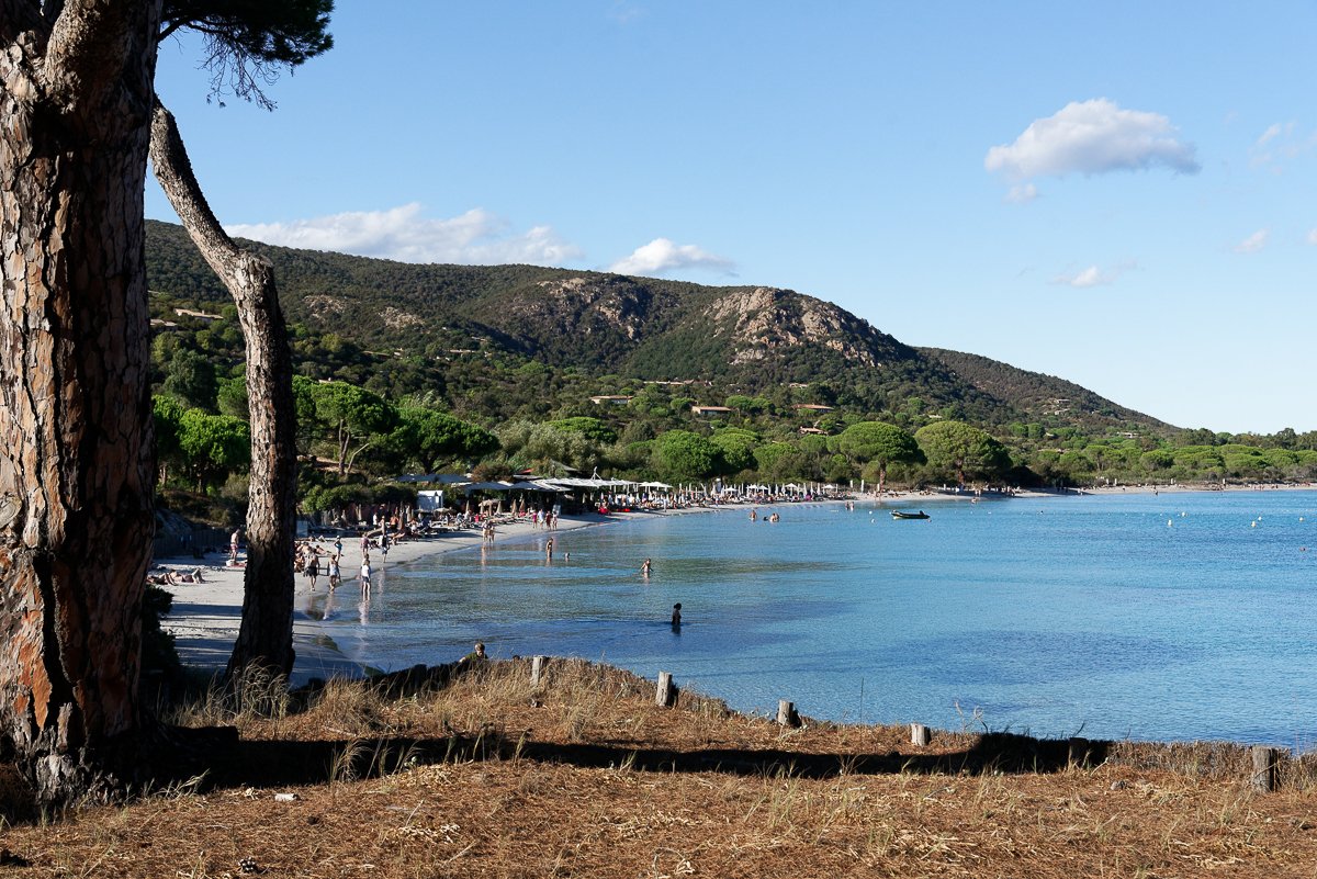 Corse
