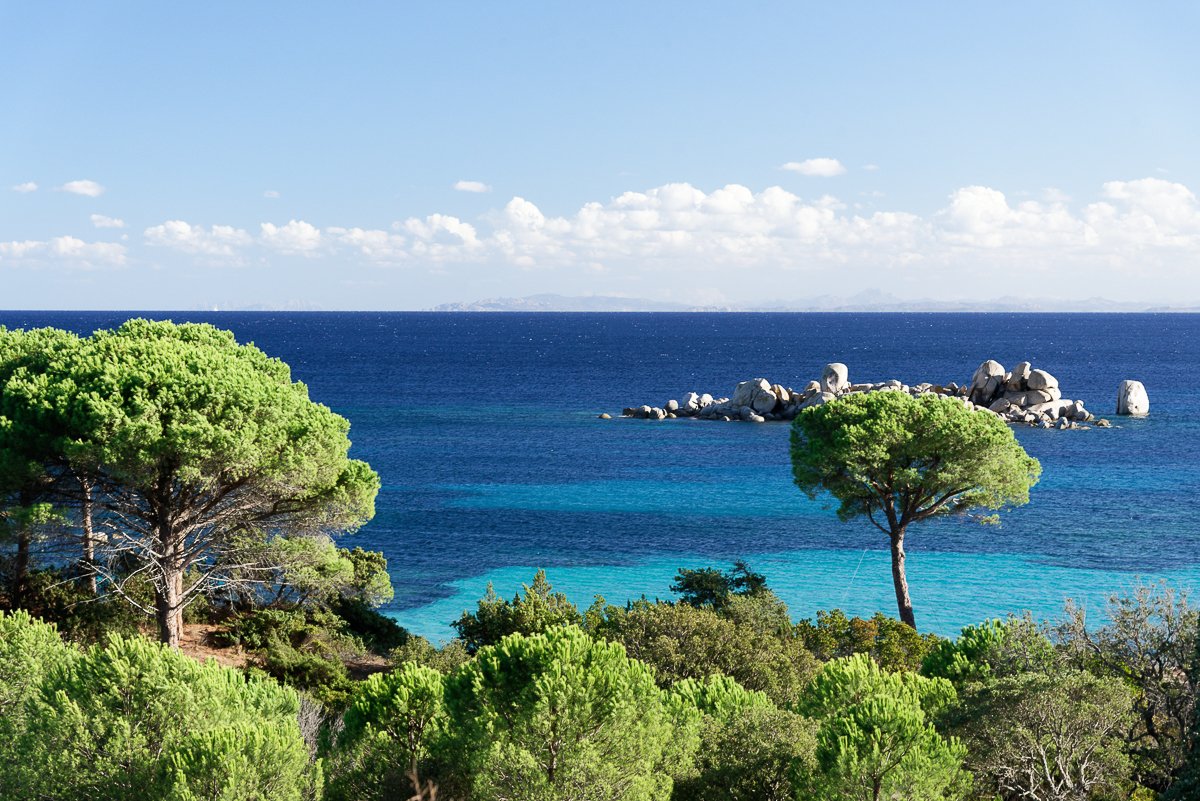 Corse