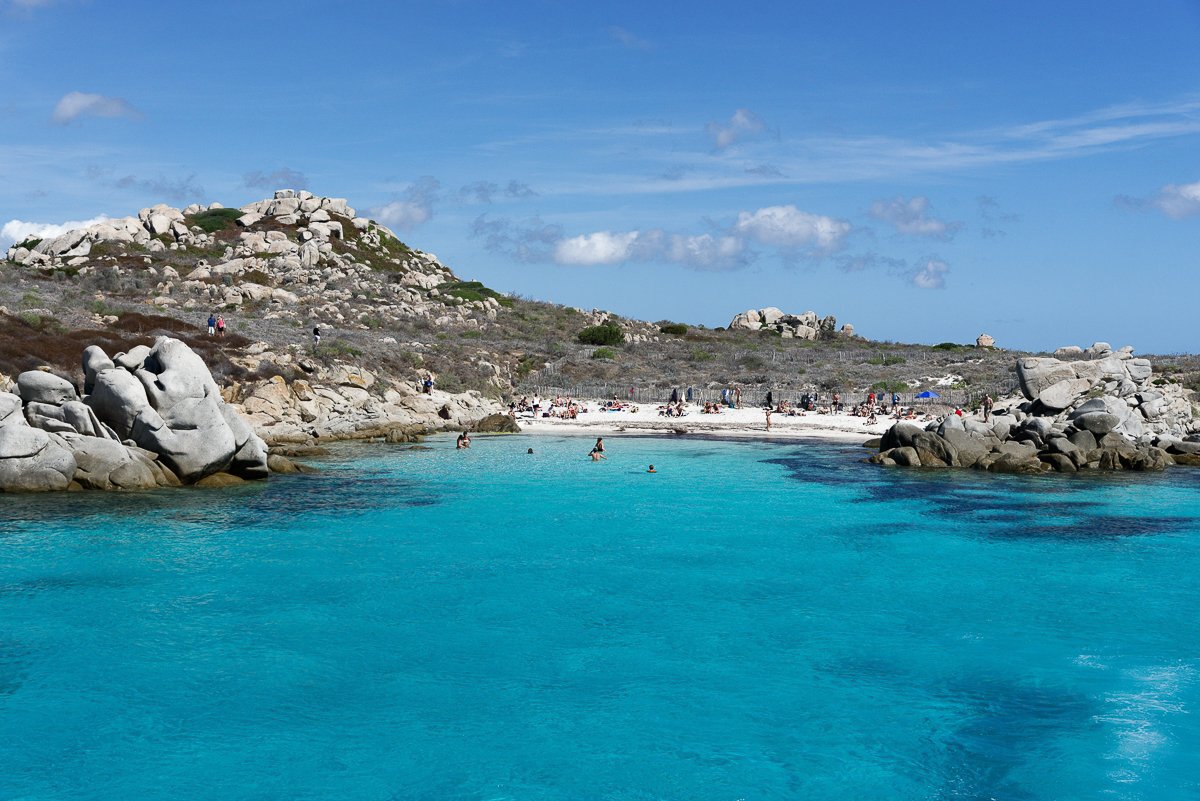 Corse