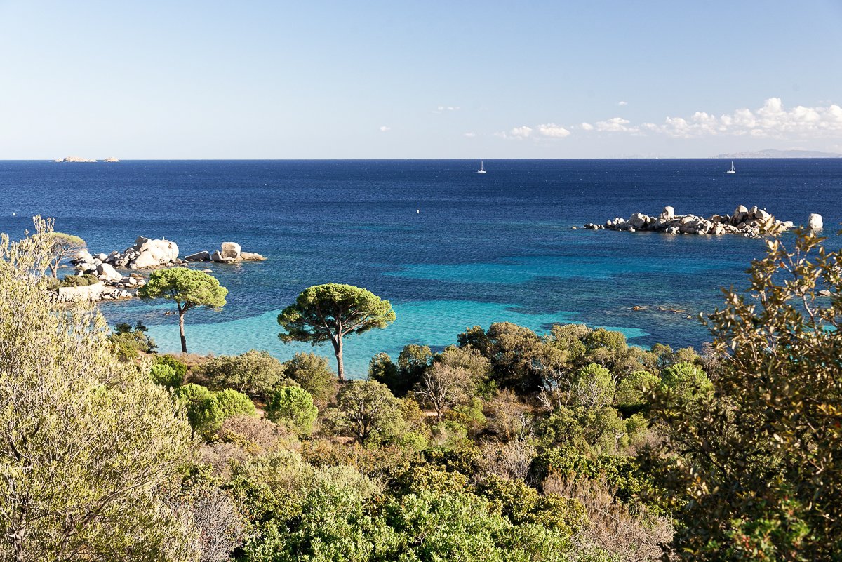 Corse