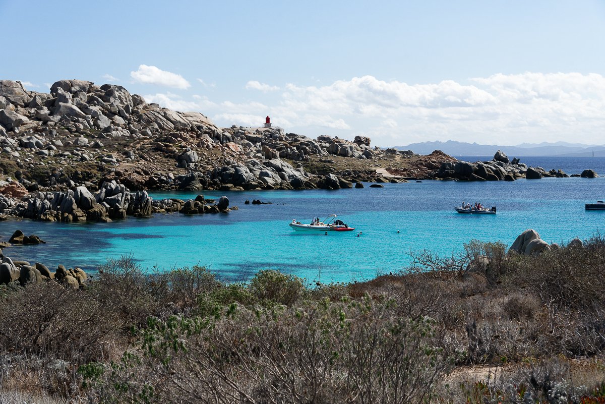 Corse