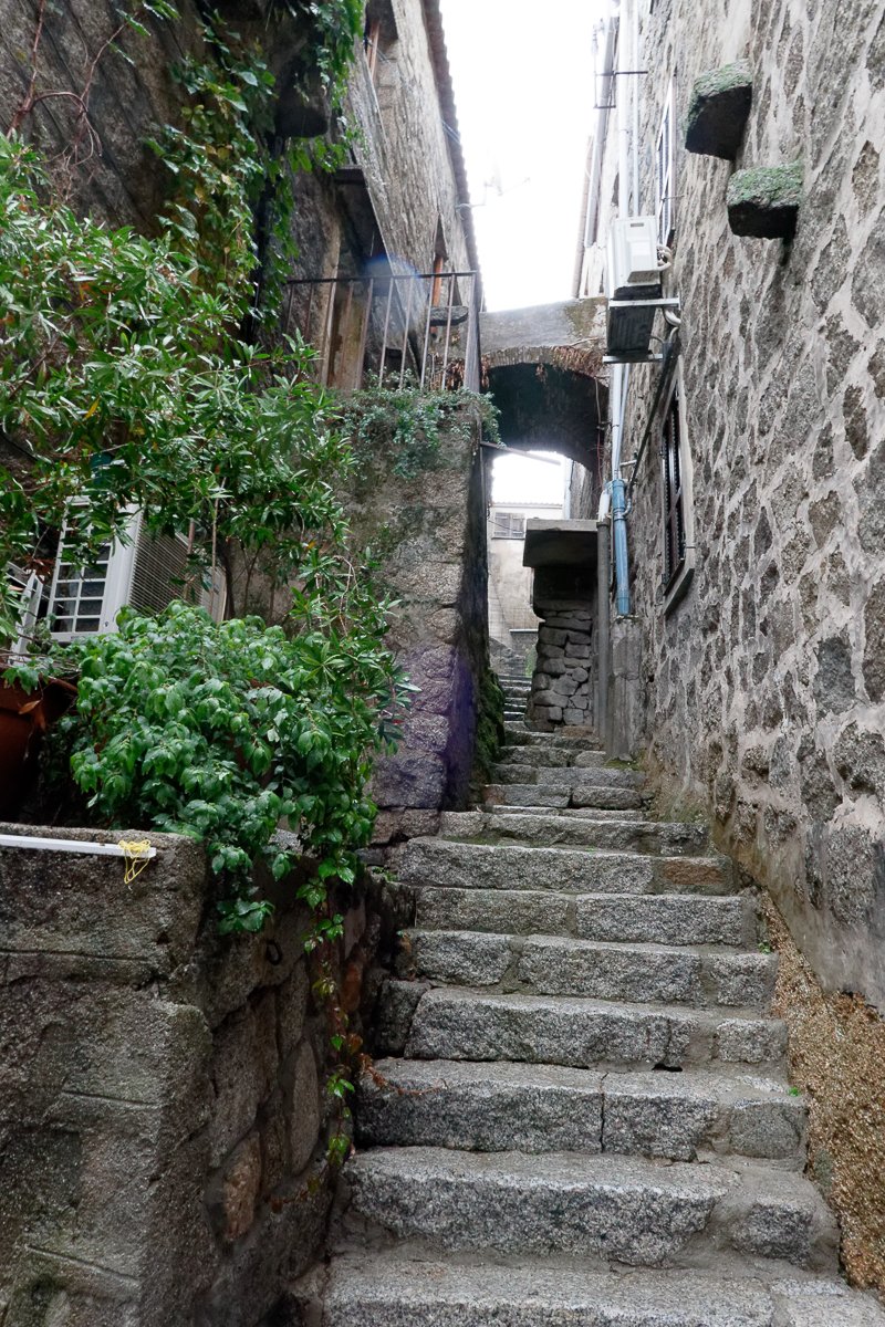 Corse