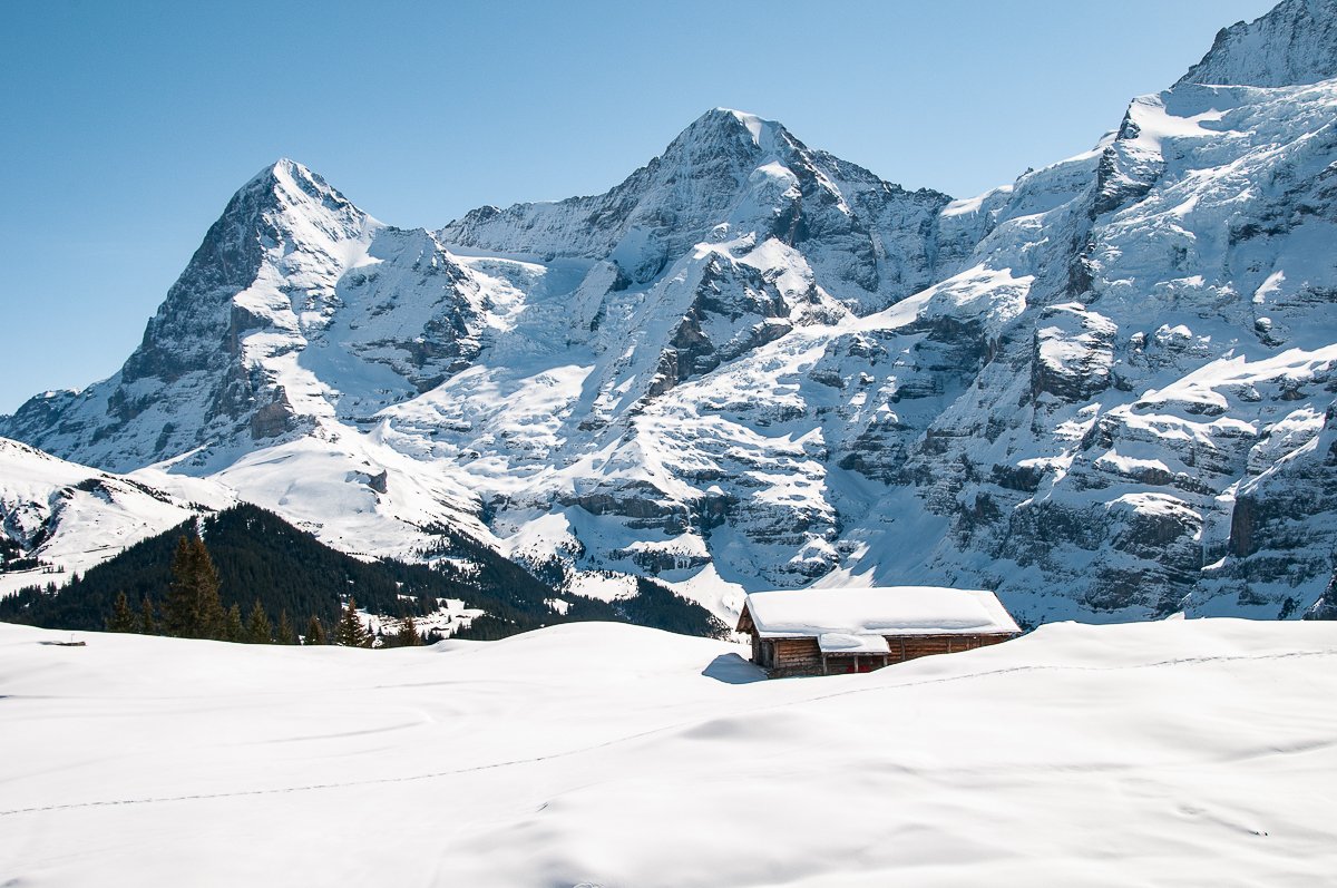 Grindelwald