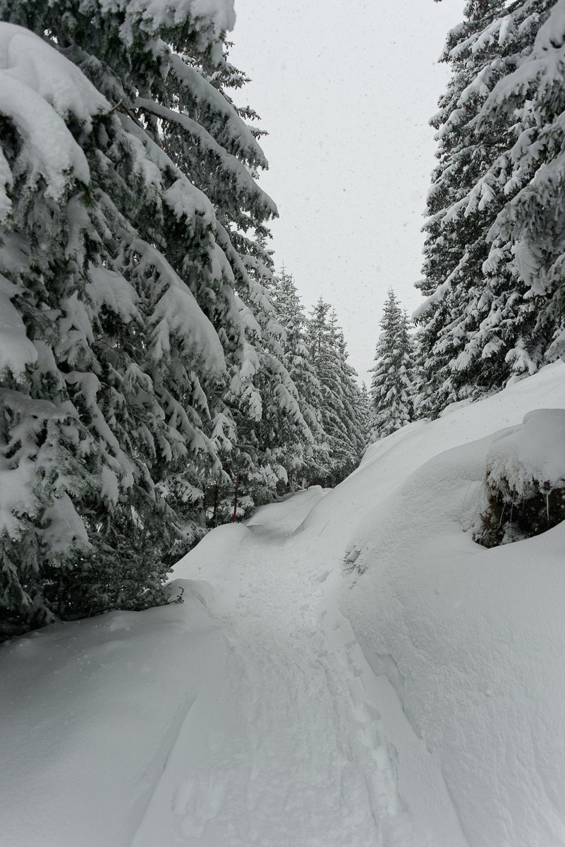 Grindelwald