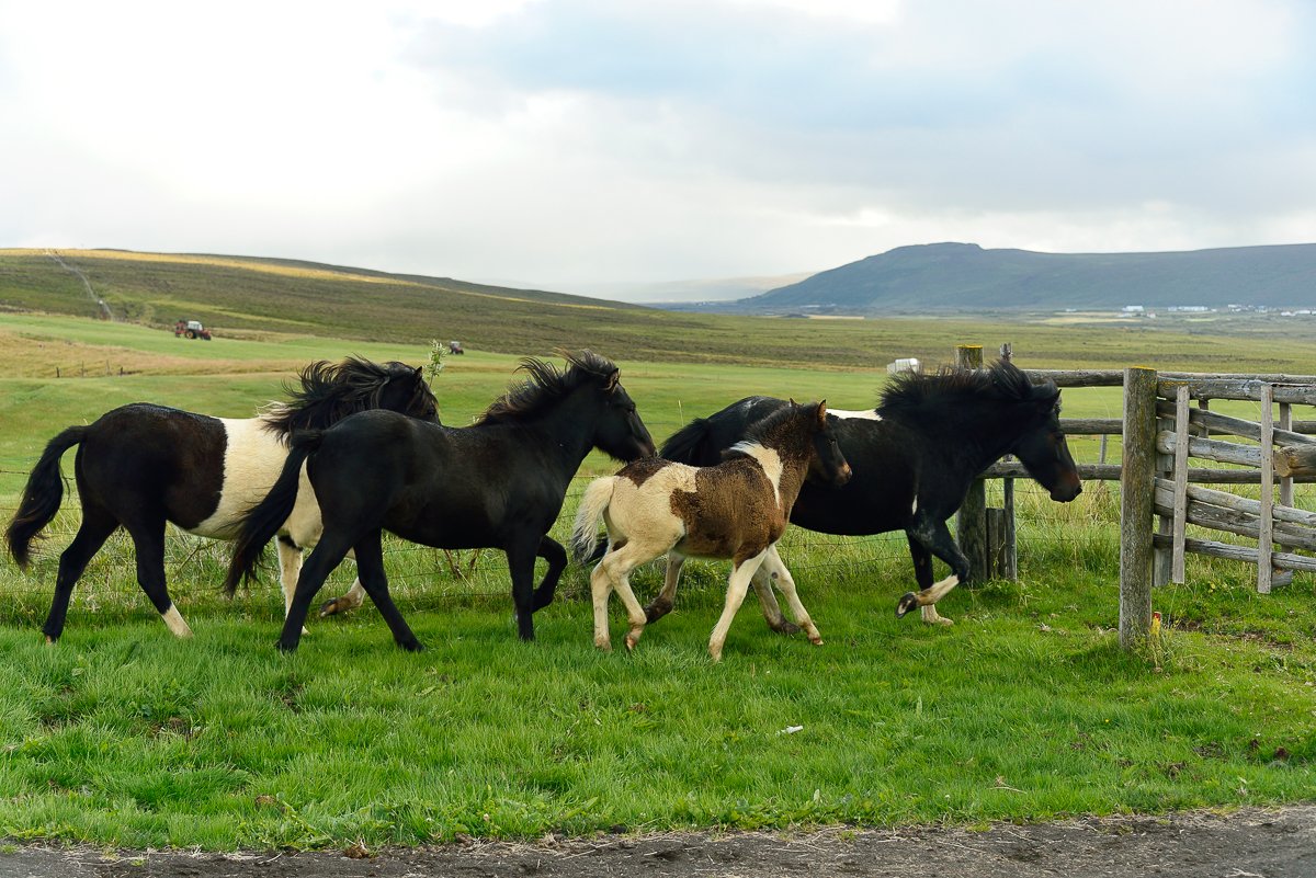 Islande