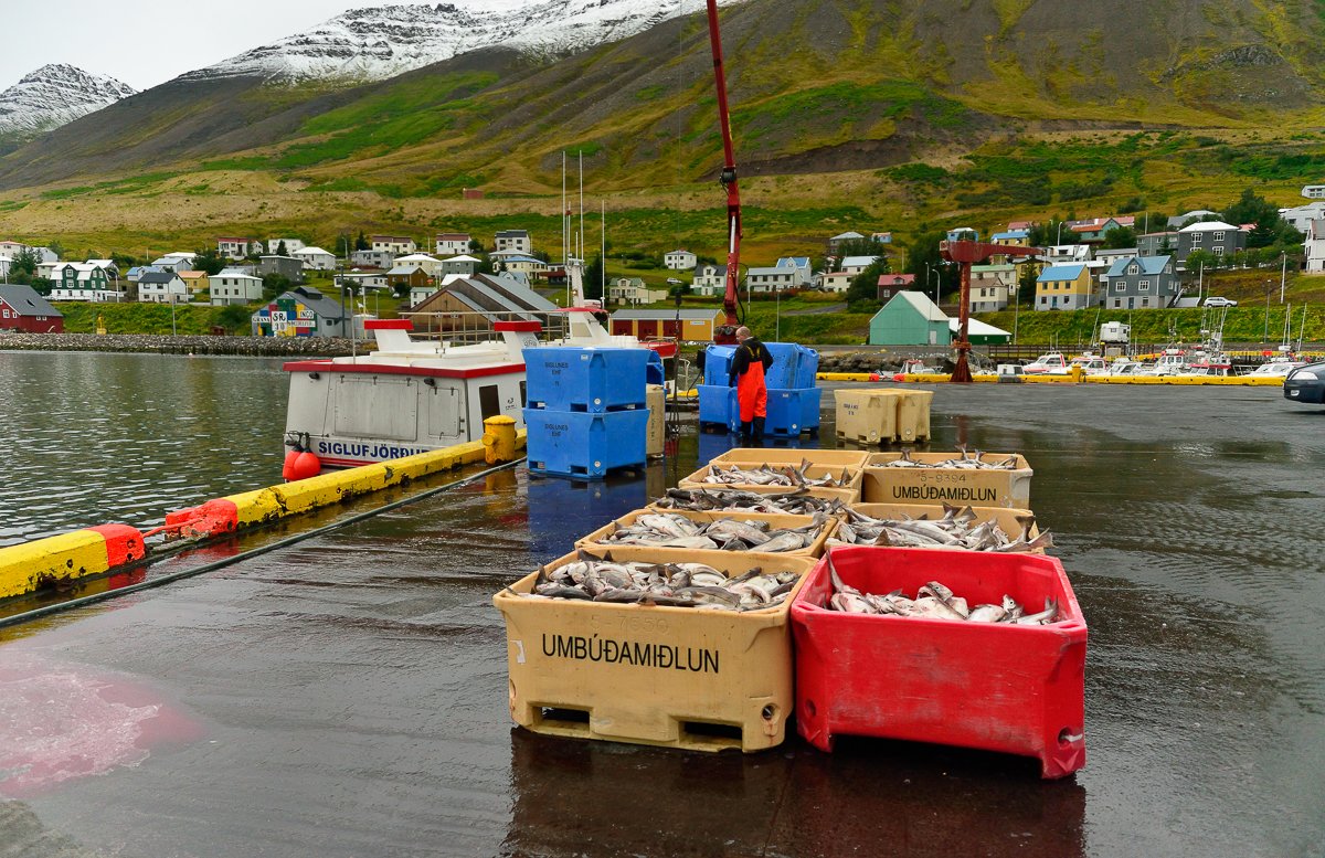 Islande