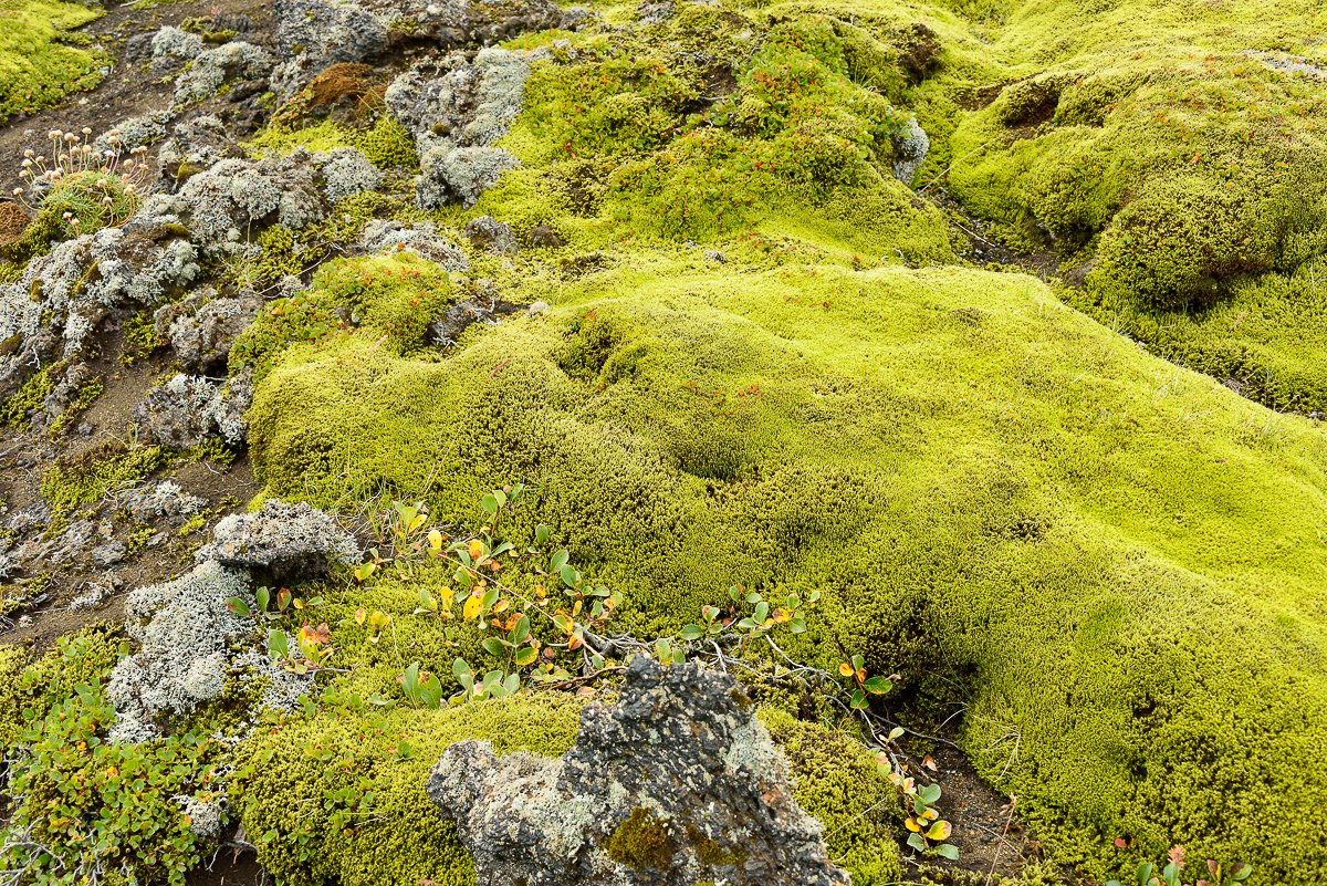 Islande