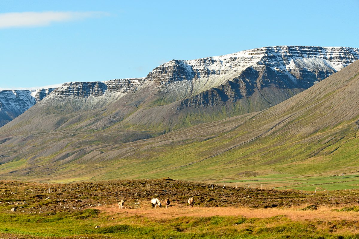 Islande