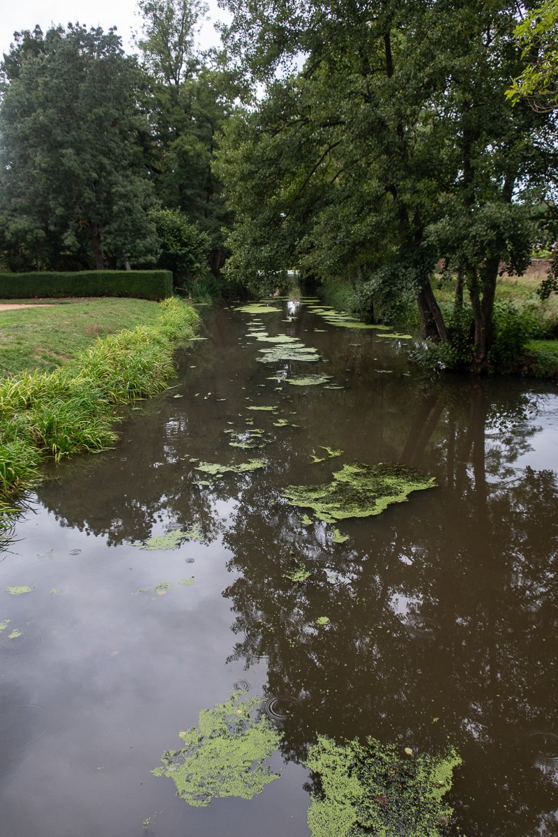 Mireille