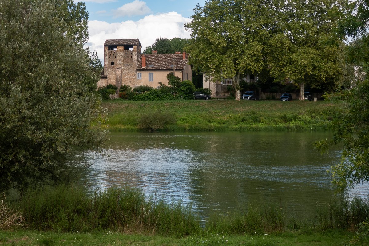 Mireille