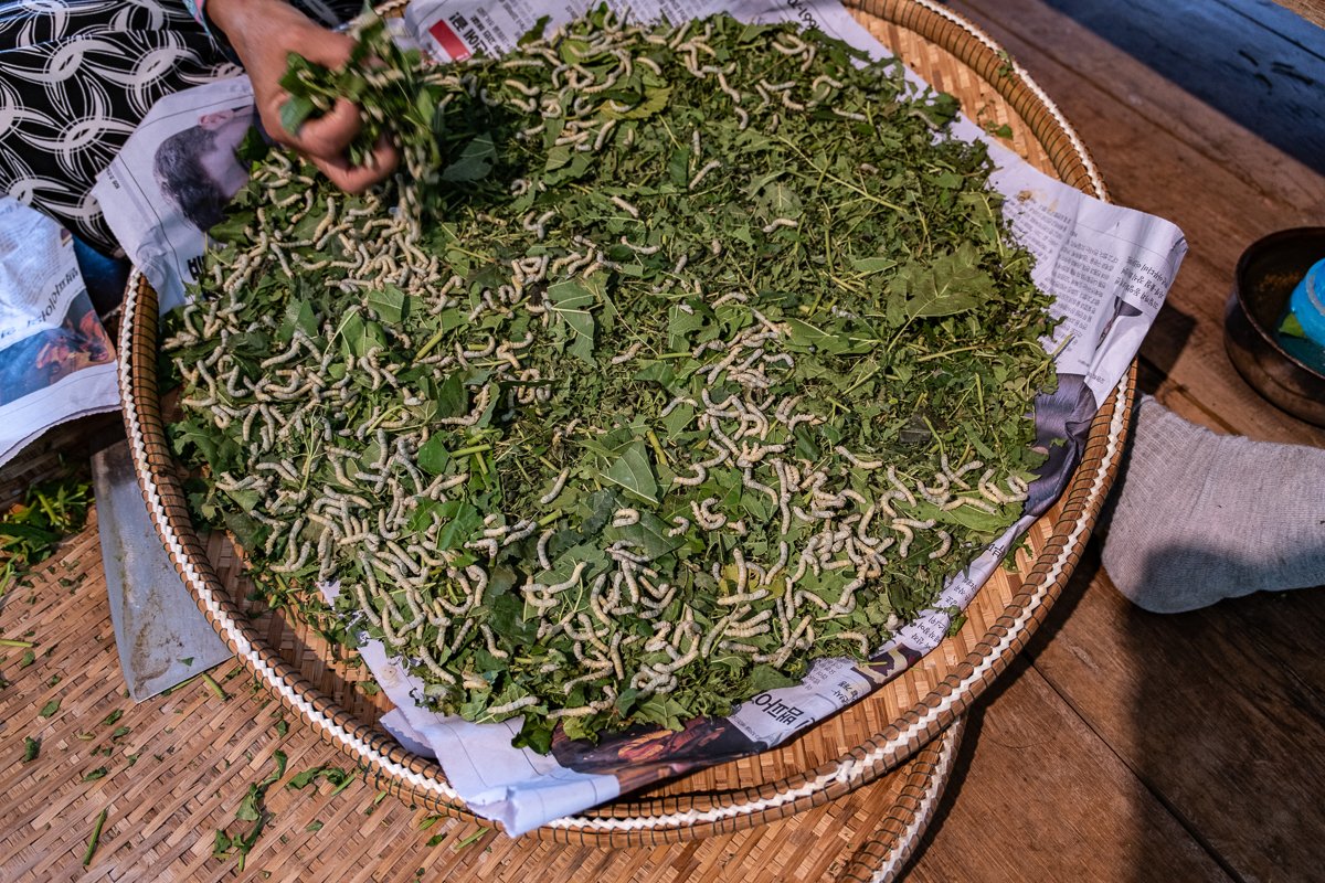 Siemreap
