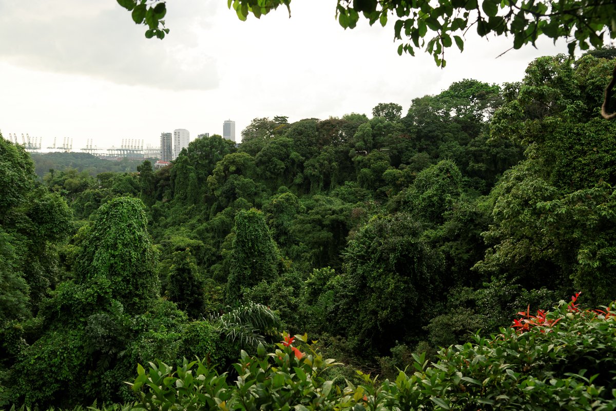 Singapour