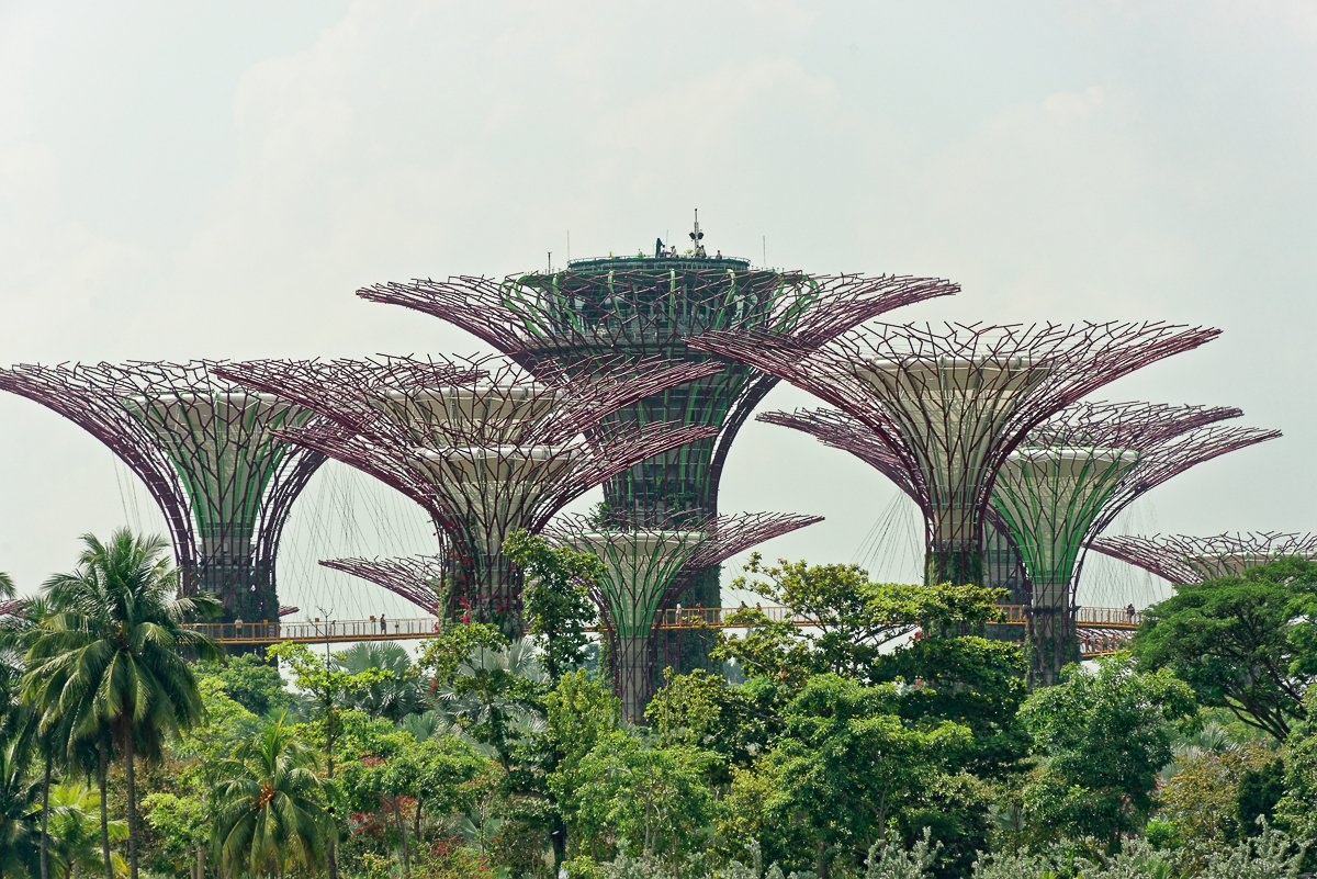 Singapour