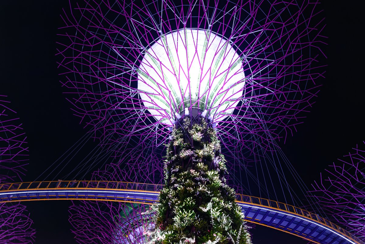 Singapour