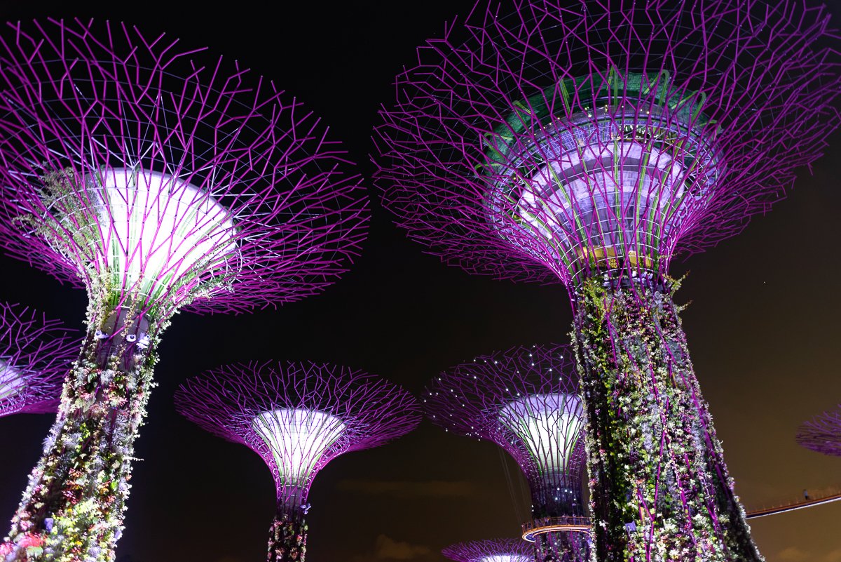 Singapour