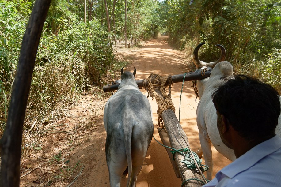 Srilanka18