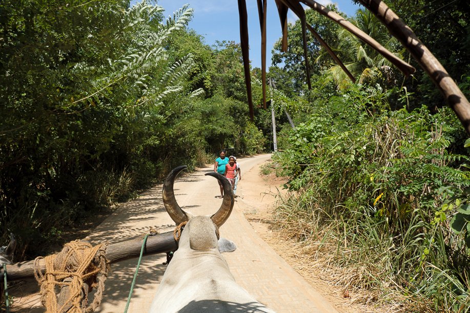 Srilanka18
