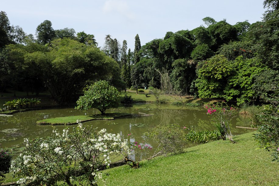 Srilanka18