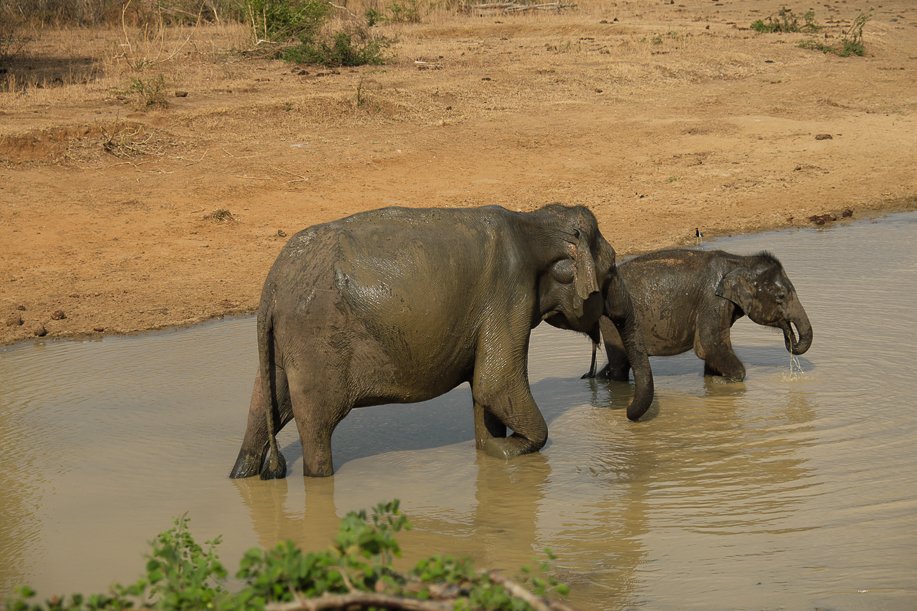Srilanka18