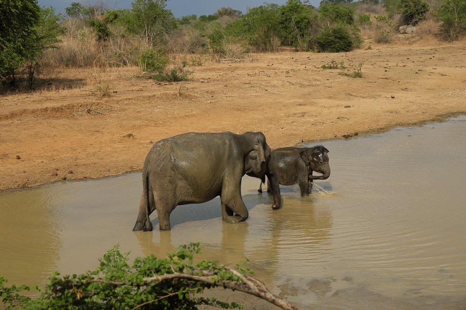 Srilanka18