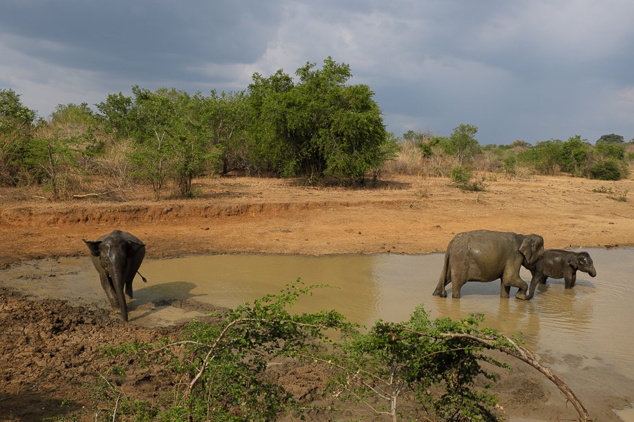 Srilanka18