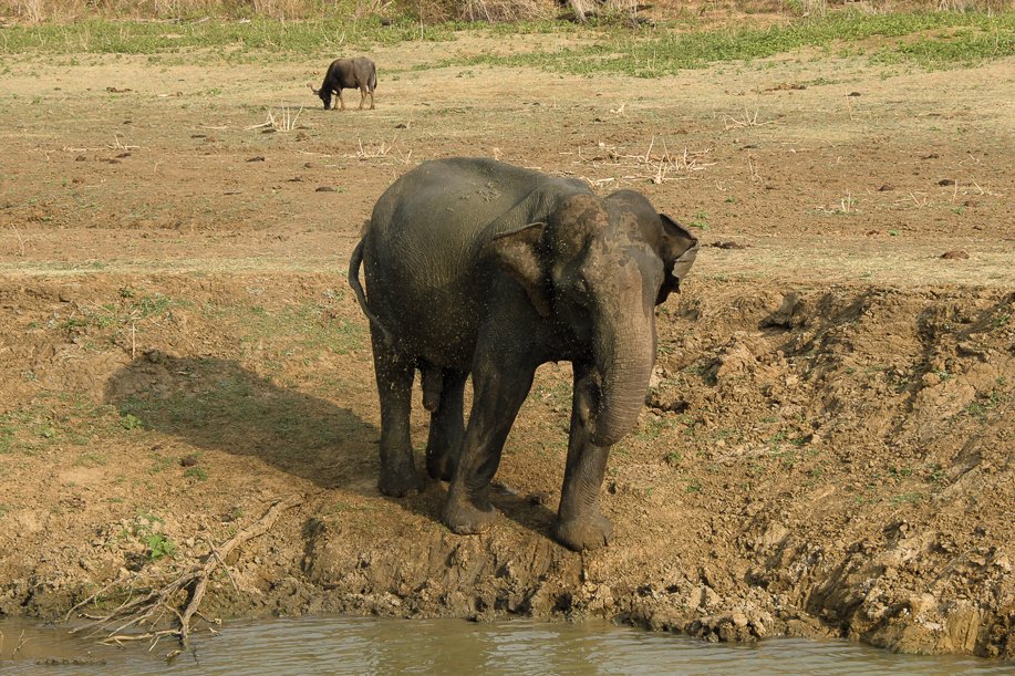 Srilanka18