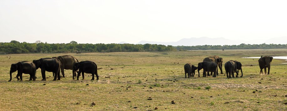 Srilanka18