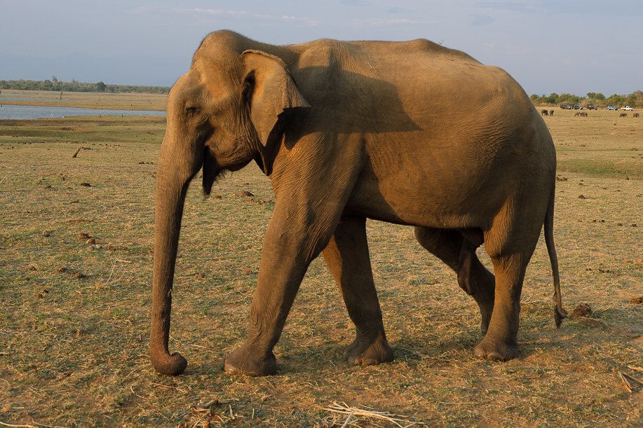 Srilanka18