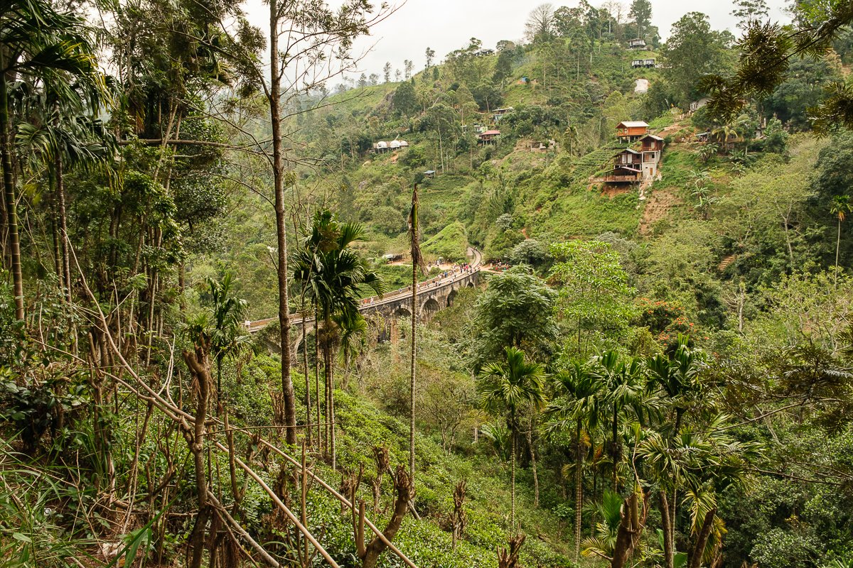 Srilanka23
