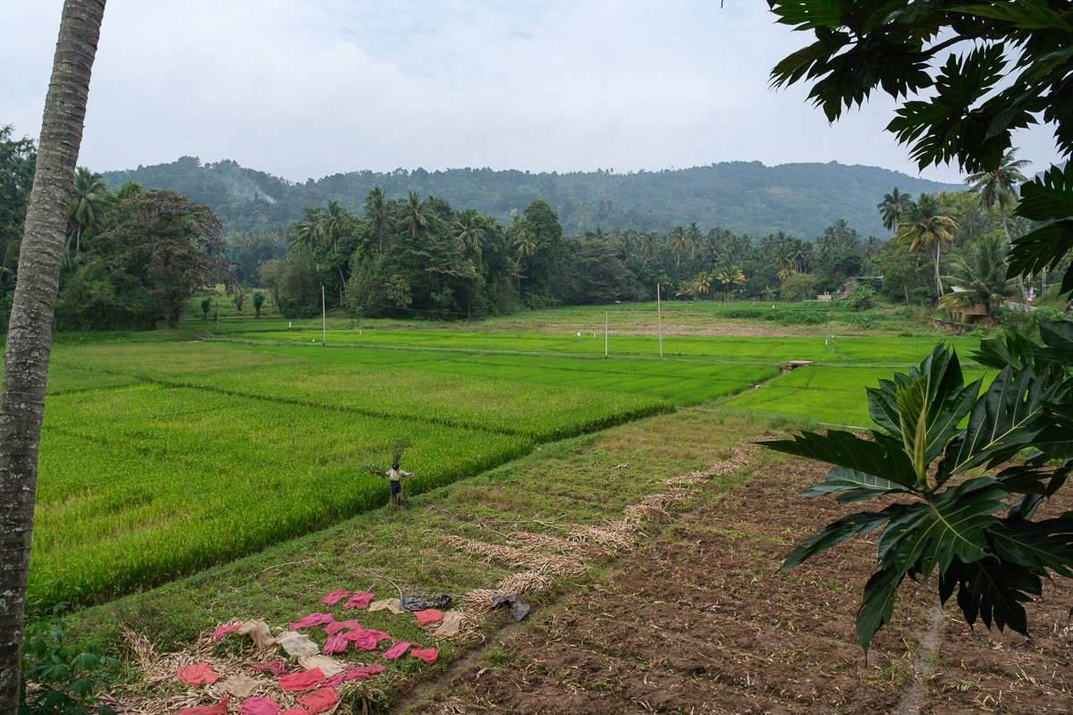Srilanka23