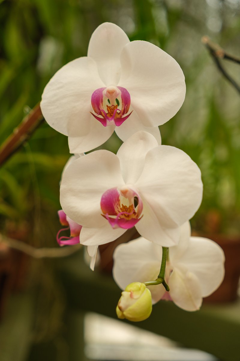 Srilanka23
