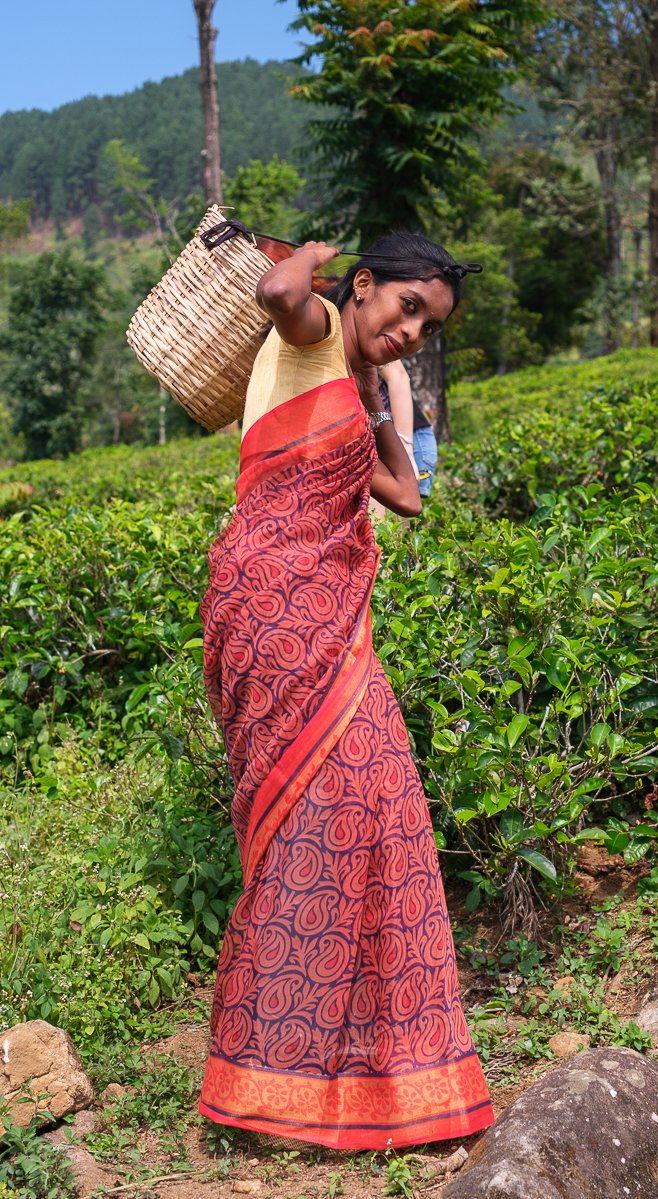 Srilanka23