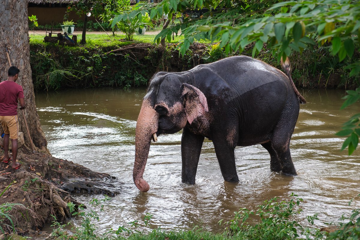 Srilanka23