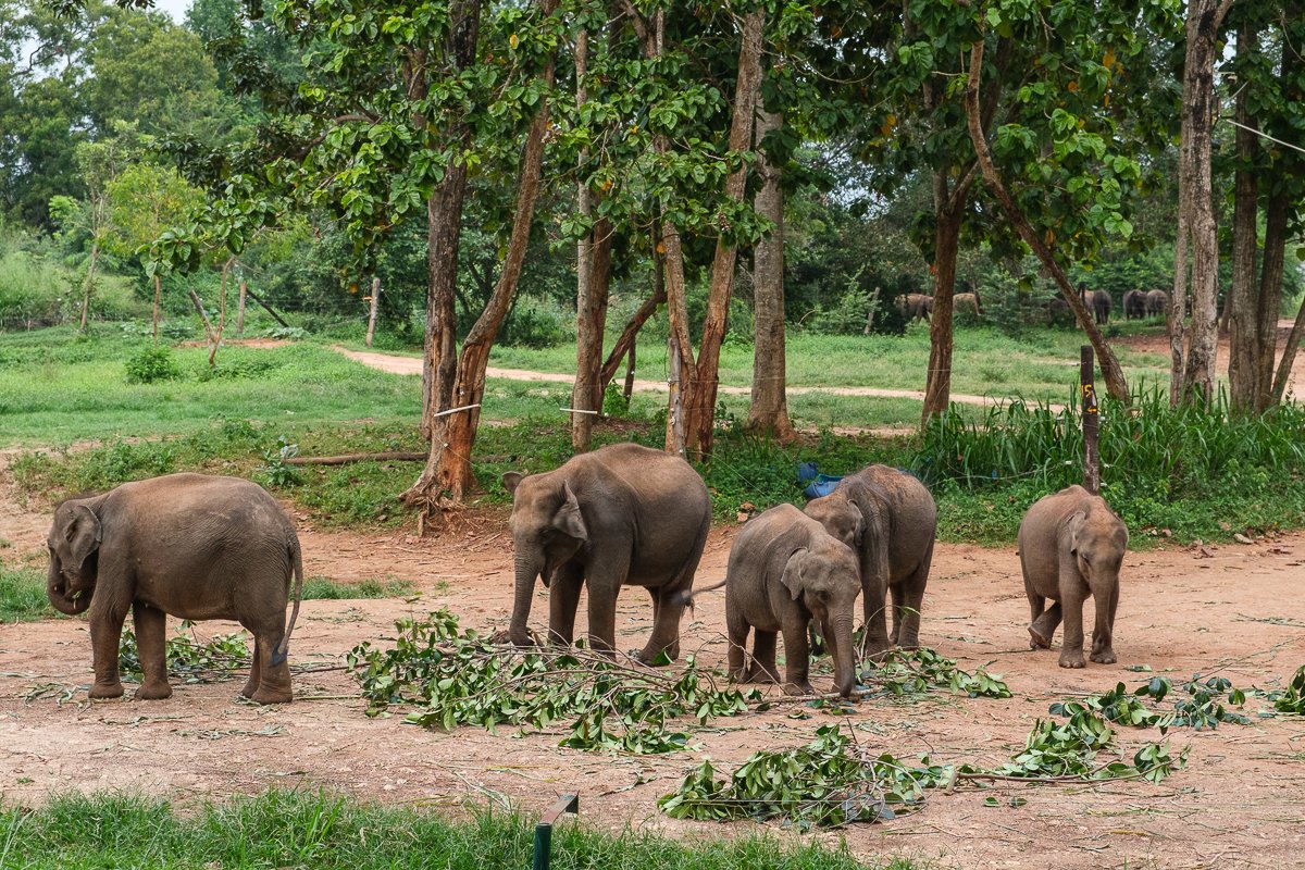 Srilanka23