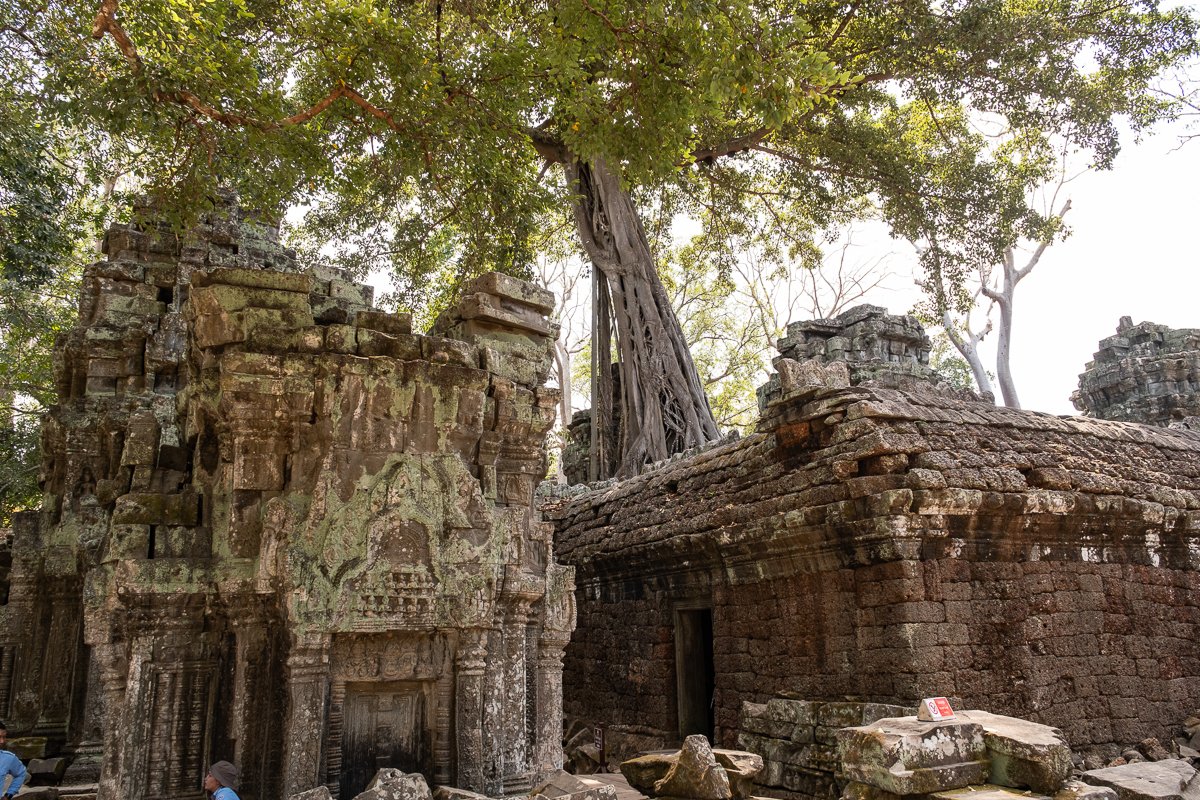 Temple