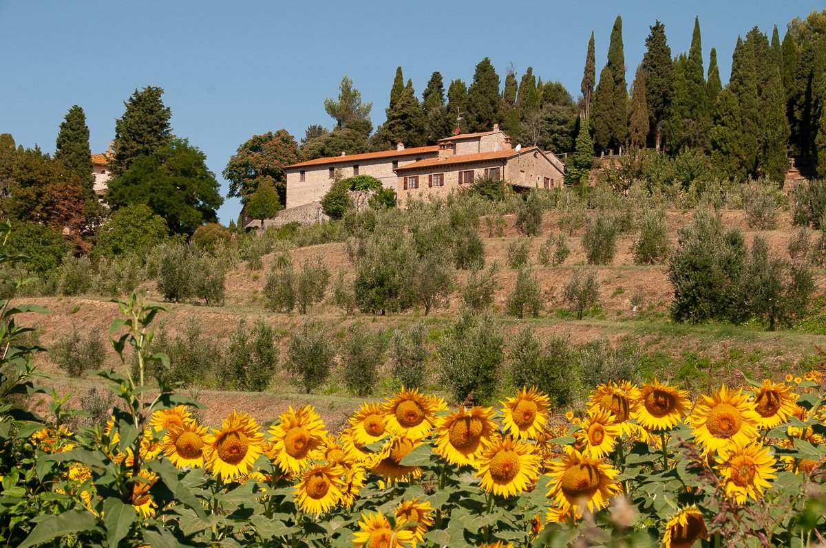 Toscane